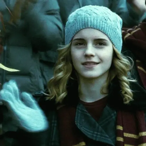 🧹 HARRY POTTER 🧹