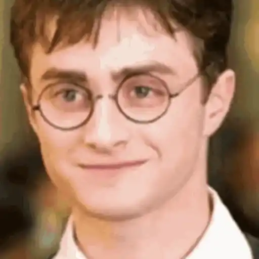🧹 HARRY POTTER 🧹