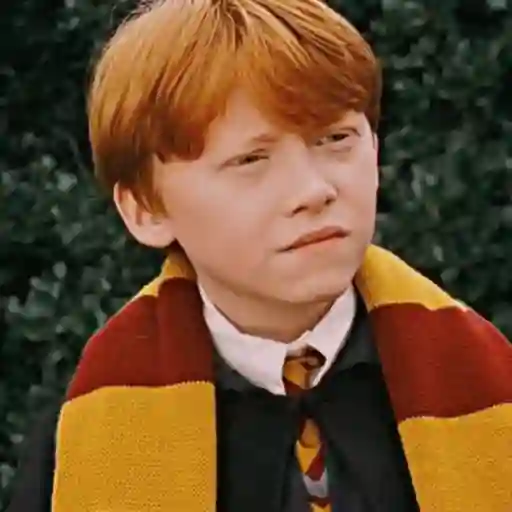 🧹 HARRY POTTER 🧹