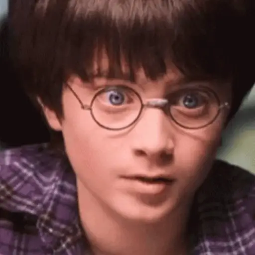 🧹 HARRY POTTER 🧹