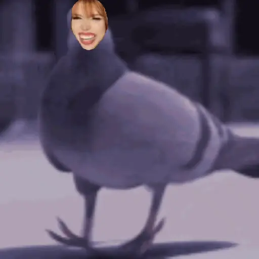 🕊Paloma migajera 🙃