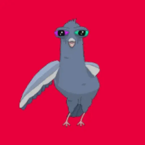 🕊Paloma migajera 🙃