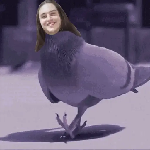 🕊Paloma migajera 🙃