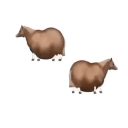 fat horse | Spinning horse 🐎