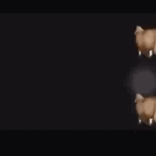 fat horse | Spinning horse 🐎