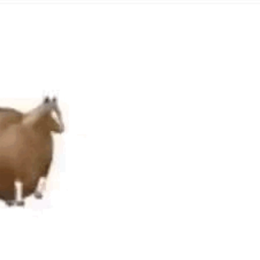 fat horse | Spinning horse 🐎