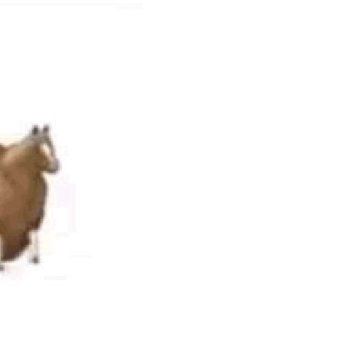 fat horse | Spinning horse 🐎 preview