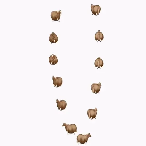 Spinning Horse (Fat Horse) 💫🐎
