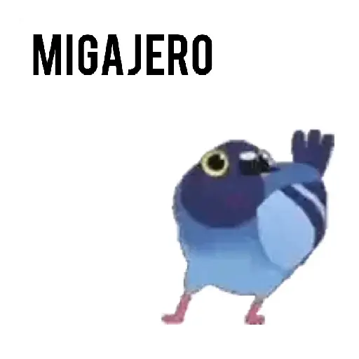 Paloma migajera 🕊️🐦