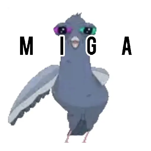 Paloma migajera 🕊️🐦