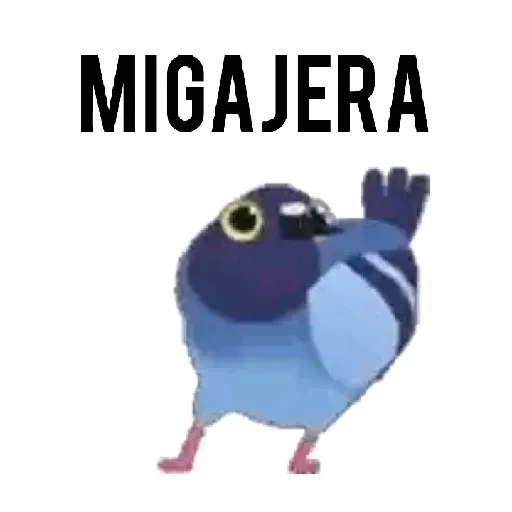 Paloma migajera 🕊️🐦