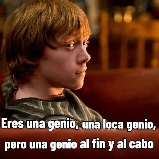 Harry Potter 🪄