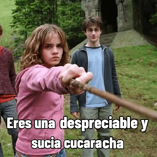 Harry Potter 🪄