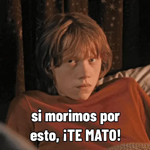 Harry Potter 🪄