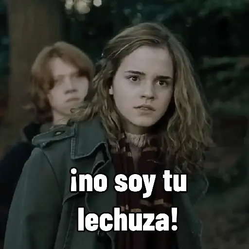 Harry Potter 🪄