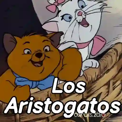 Belinda aristogatos tiktok🐈‍⬛🎶