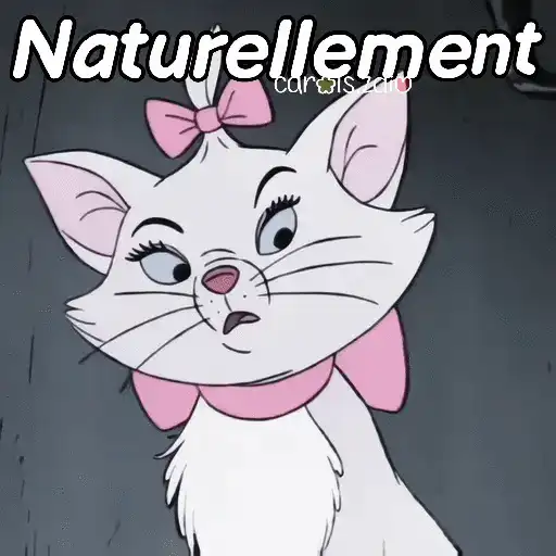 Belinda aristogatos tiktok🐈‍⬛🎶