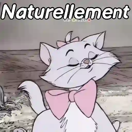 Belinda aristogatos tiktok🐈‍⬛🎶