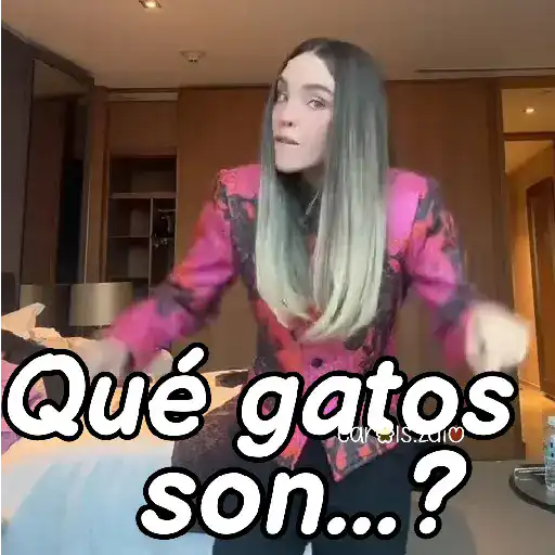 Belinda aristogatos tiktok🐈‍⬛🎶