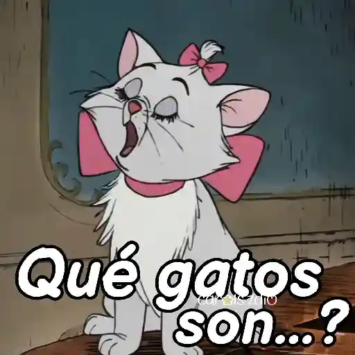 Belinda aristogatos tiktok🐈‍⬛🎶