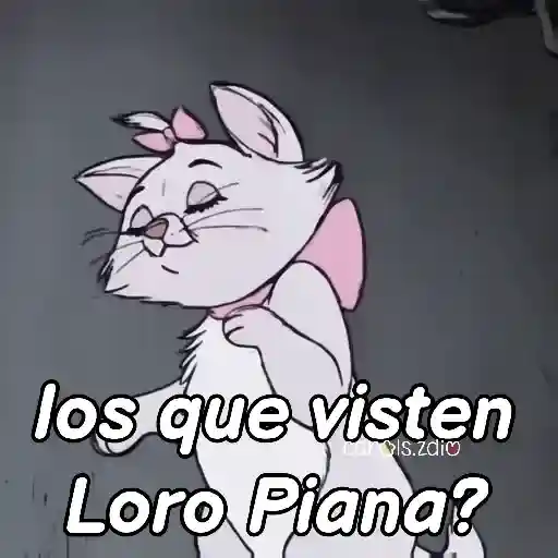 Belinda aristogatos tiktok🐈‍⬛🎶