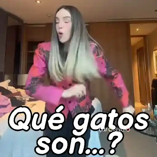 Belinda aristogatos tiktok🐈‍⬛🎶 preview