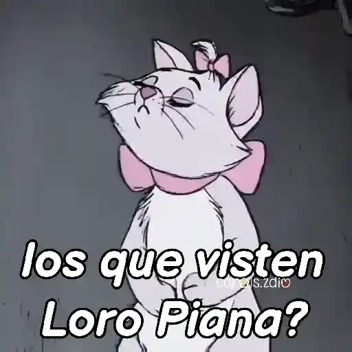 Belinda aristogatos tiktok🐈‍⬛🎶 preview