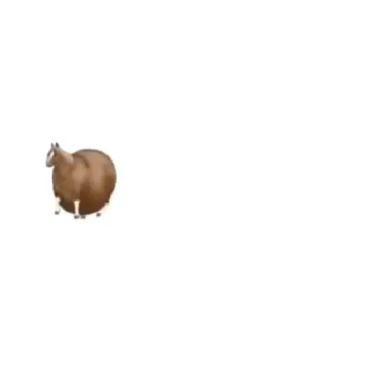 Fat Horse 🐴🐎