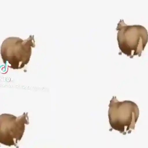 Fat Horse 🐴🐎