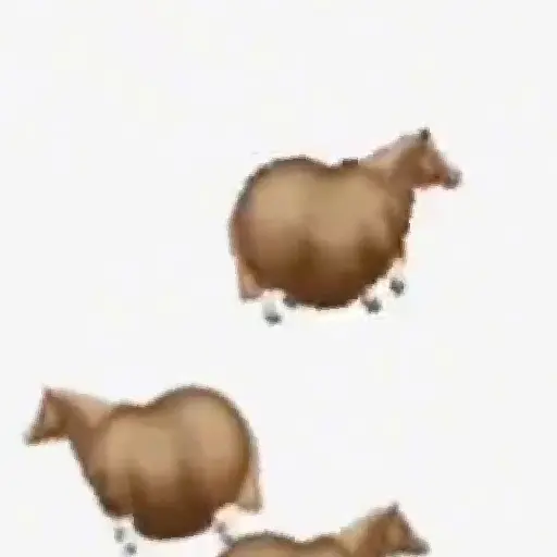 Fat Horse 🐴🐎