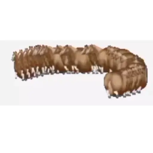 spinning horse fat horse