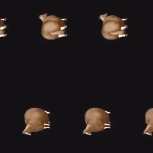 spinning horse fat horse preview