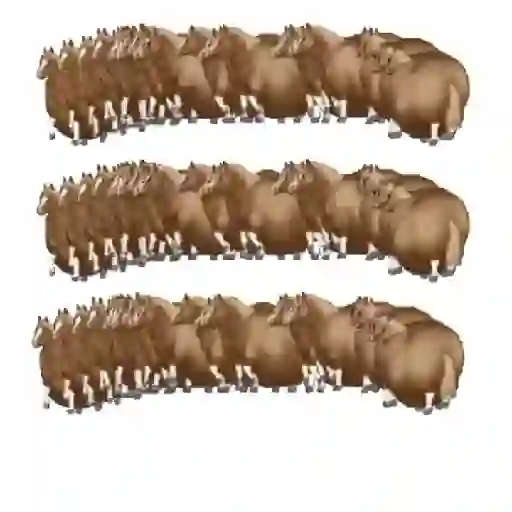 spinning horse fat horse