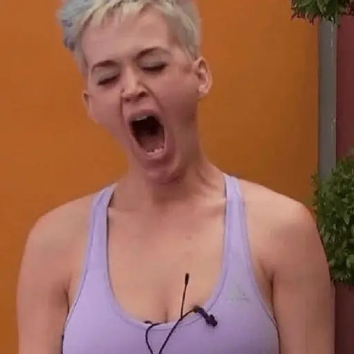 katy meme perry