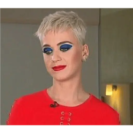 katy meme perry