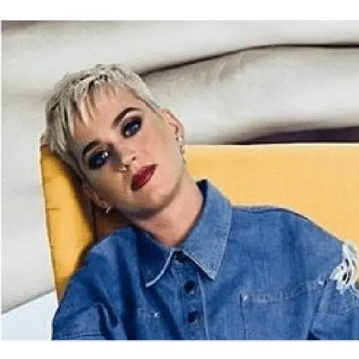 katy meme perry