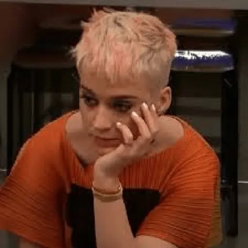 katy meme perry