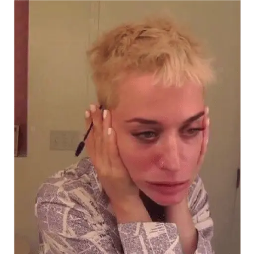 katy meme perry