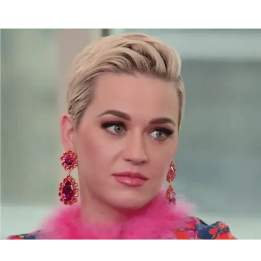 katy meme perry