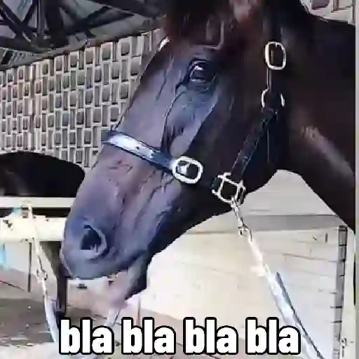 Fat horse 🐴✨