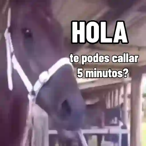 Fat horse 🐴✨
