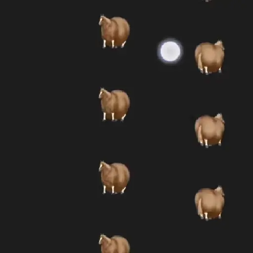 FAT HORSE SPINNING