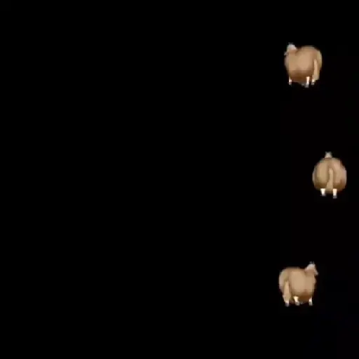 FAT HORSE SPINNING