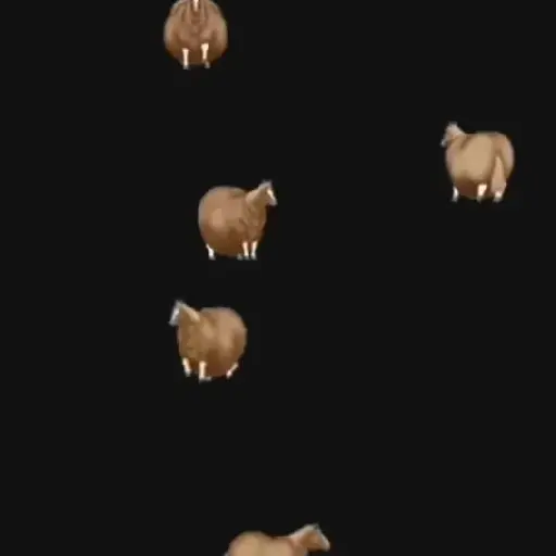 FAT HORSE SPINNING