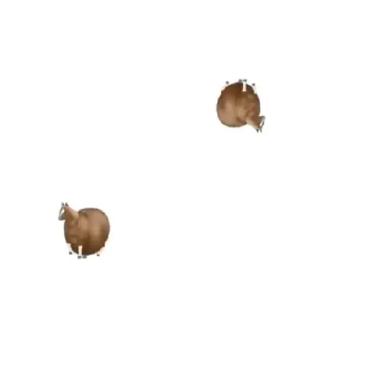 FAT HORSE SPINNING preview