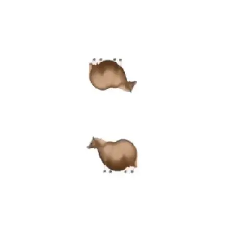 FAT HORSE SPINNING
