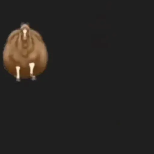 FAT HORSE SPINNING