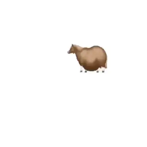 FAT HORSE SPINNING