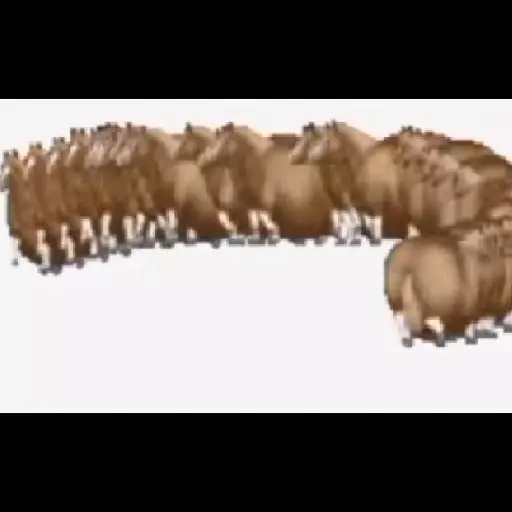 FAT HORSE SPINNING