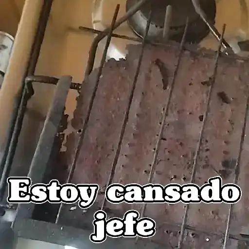 🧿Memes Tostador Chileno🇨🇱
